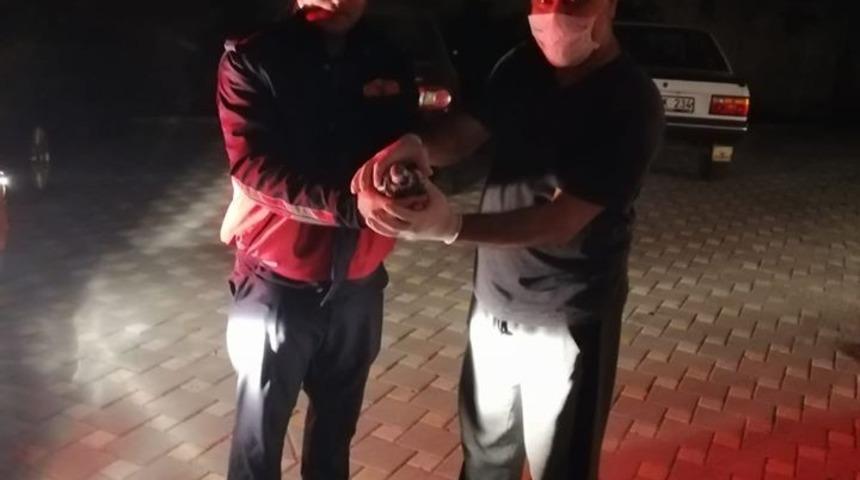 K&uuml;&ccedil;&uuml;k Dila&rsquo;nın dikkati, a&ccedil; kalan g&uuml;vercini &ouml;l&uuml;mden kurtardı