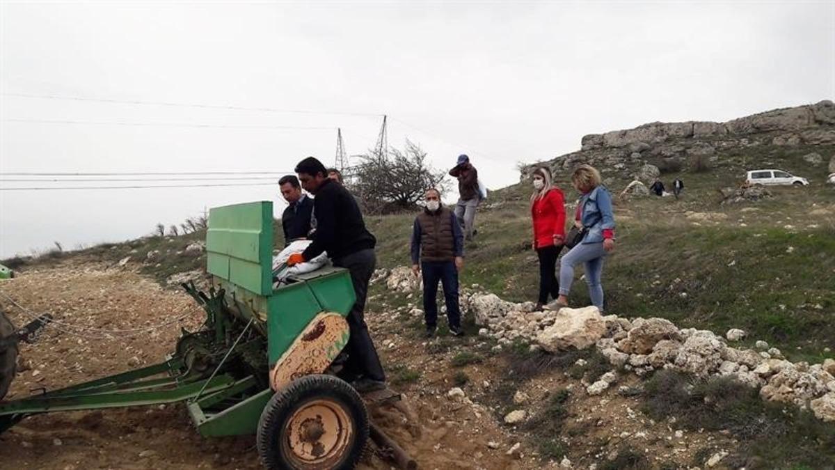 Yazıhan&rsquo;a yerli kırmızı mercimek ekimi yapıldı