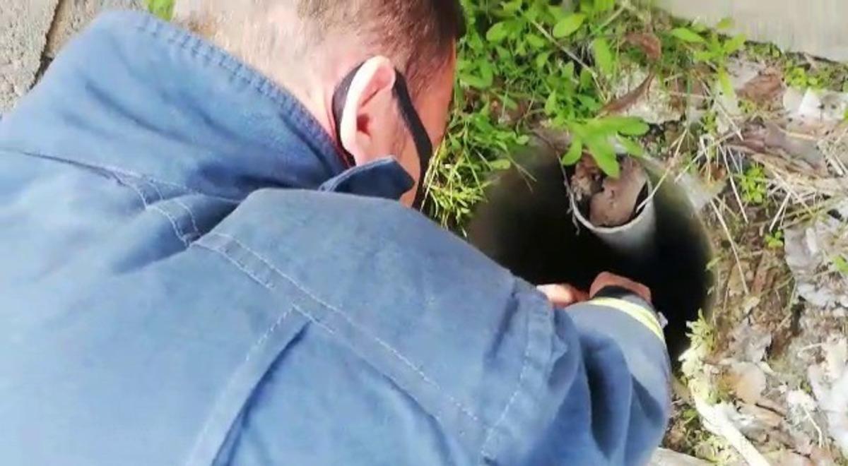 Van&rsquo;da kuyuya d&uuml;şen yavru ke&ccedil;iyi itfaiye kurtardı