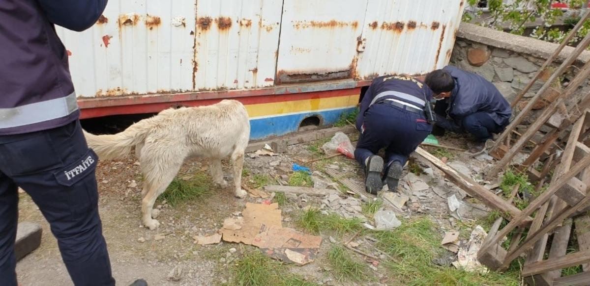 Konteyner altına sıkışan yavru k&ouml;peği itfaiye ekibi kurtardı