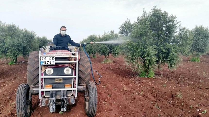 Kronik hasta kişinin zeytin ağacını ila&ccedil;ladılar