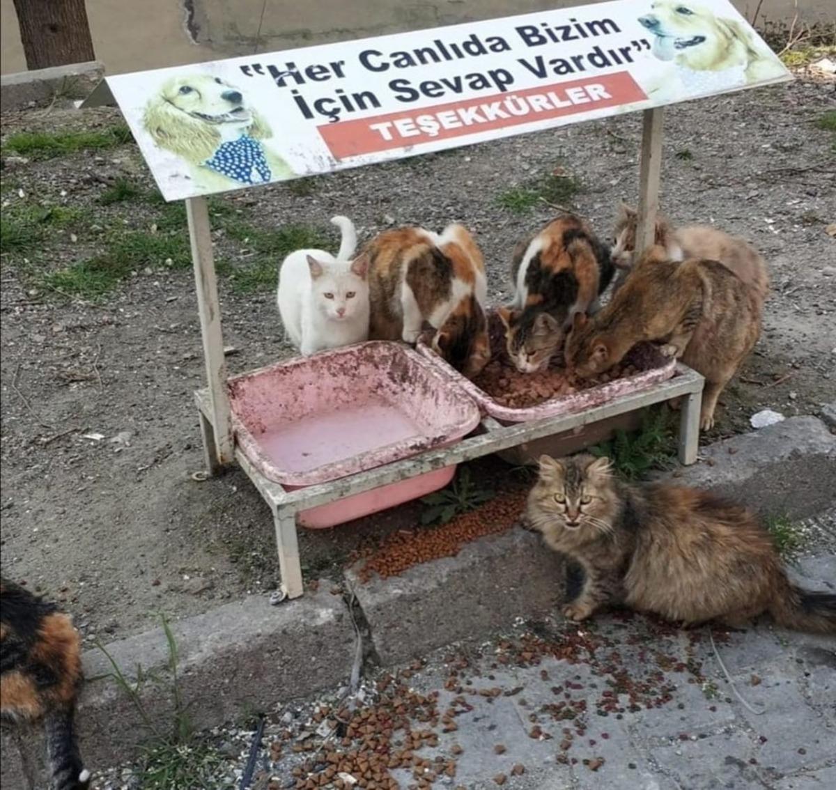 Devrek&rsquo;te iyilik daha hızlı buluşacak