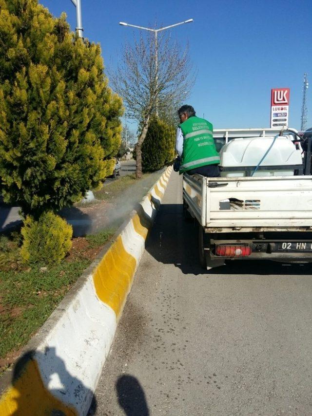 Adıyaman Belediyesi yabani otları imha ediyor