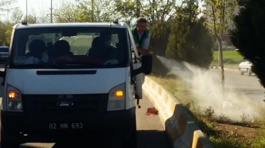 Adıyaman Belediyesi yabani otları imha ediyor