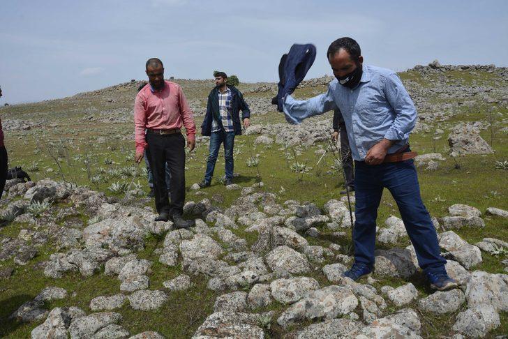 Siverek’te çekirge istilası korkuttu G5