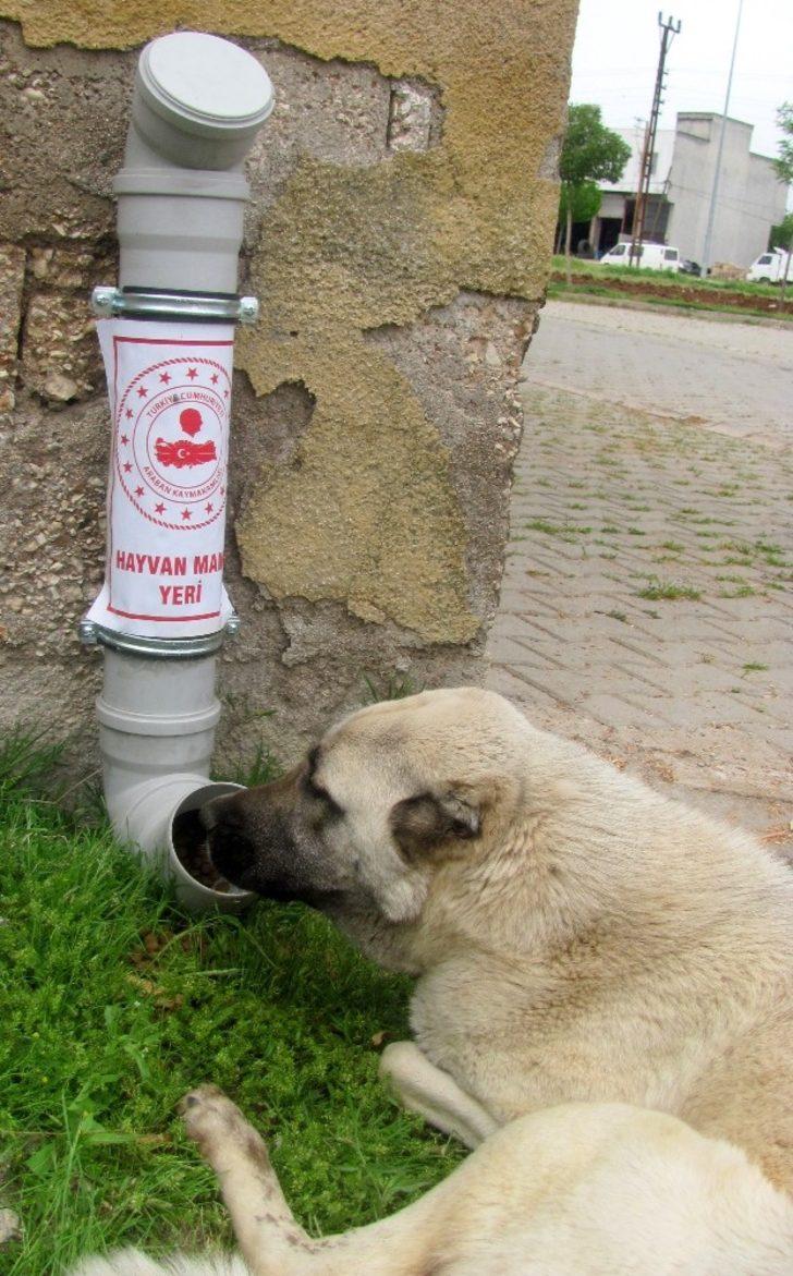 Araban’da sokak hayvanları aç kalmayacak G2
