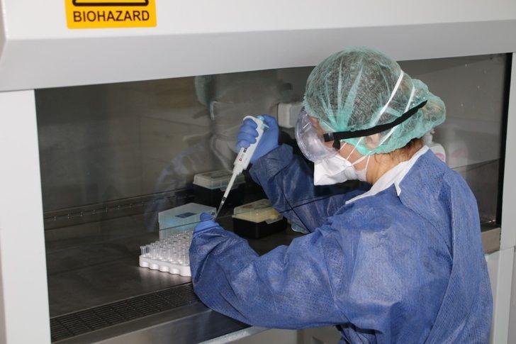 Sinop’ta real-time PCR cihazı ile kovid-19 tanı uygulamasına başlandı G3