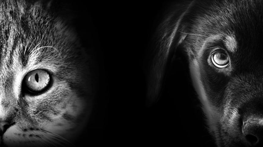 ABD'de korkutan koronavirüs gelişmesi! Uzmanlardan kritik uyarı geldi