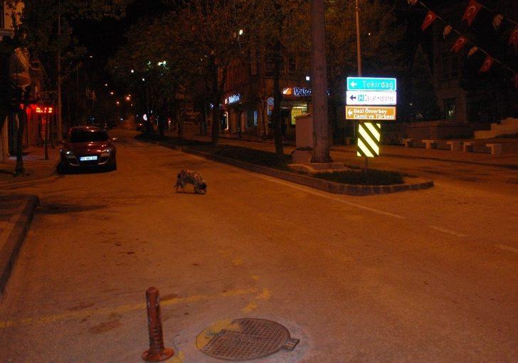 Sokağa çıkma kısıtlaması başladı, yollar boş kaldı G2