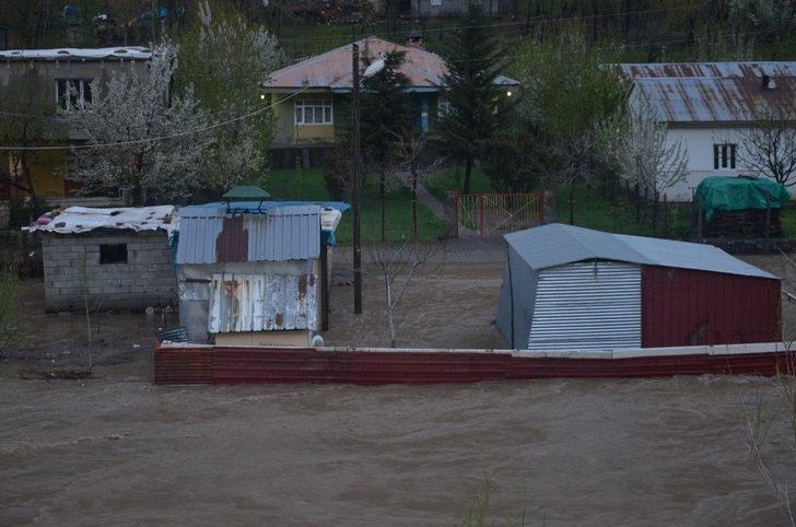 Aşırı yağışlar nedeniyle Habur çayı taştı, tarla ve ahırlar sular altında kaldı G3