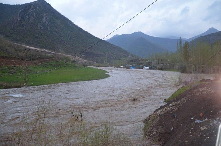 Aşırı yağışlar nedeniyle Habur çayı taştı, tarla ve ahırlar sular altında kaldı G5