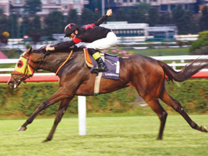 Yavuz ile Öykü balayı yerine hipodroma gitti G2