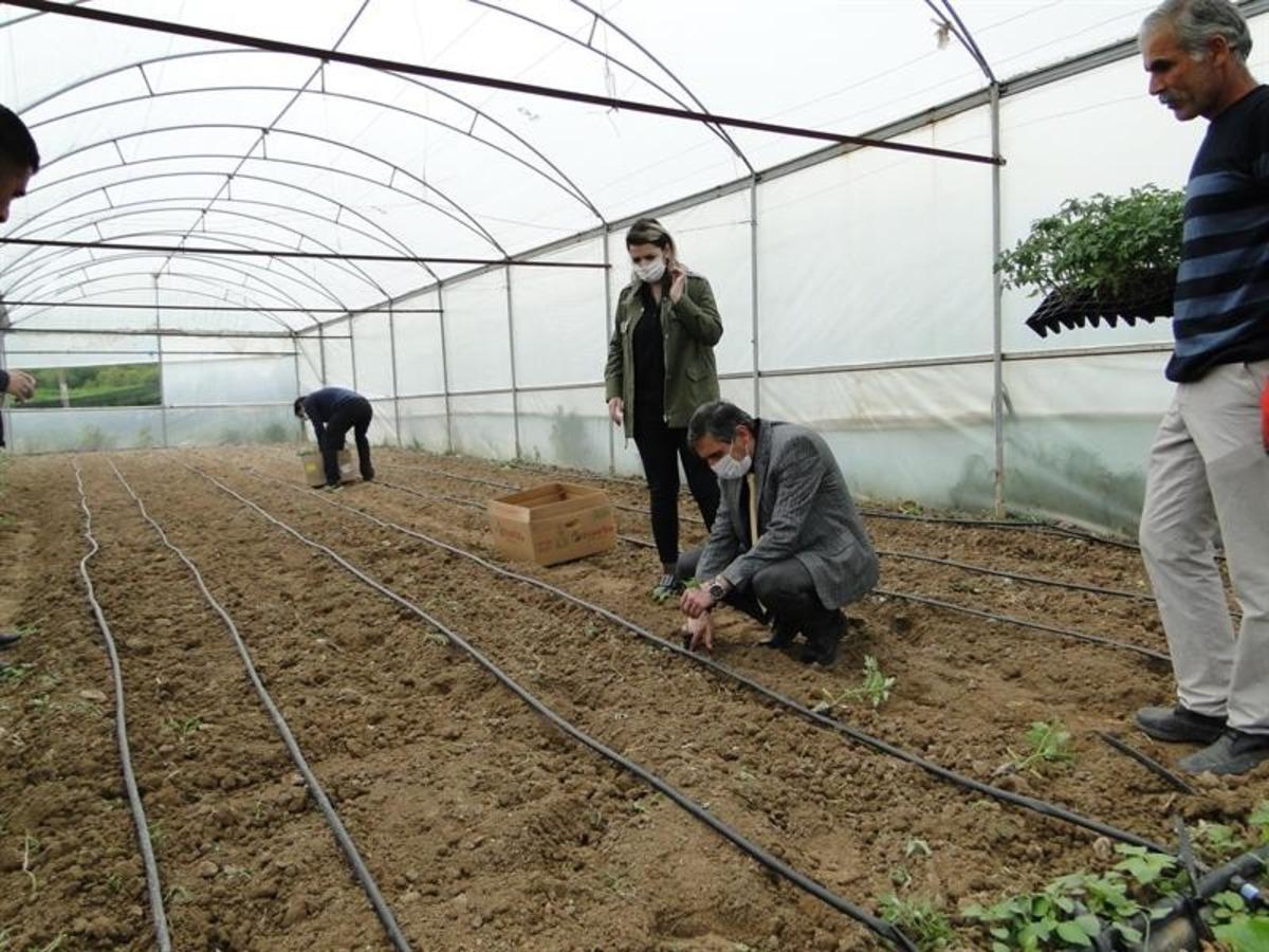 Battalgazi&rsquo;de fide dikimi yaygınlaştırılıyor
