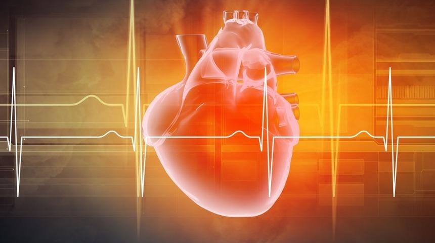 Rektör Alma’nın projesiyle sanal kalp tasarlandı