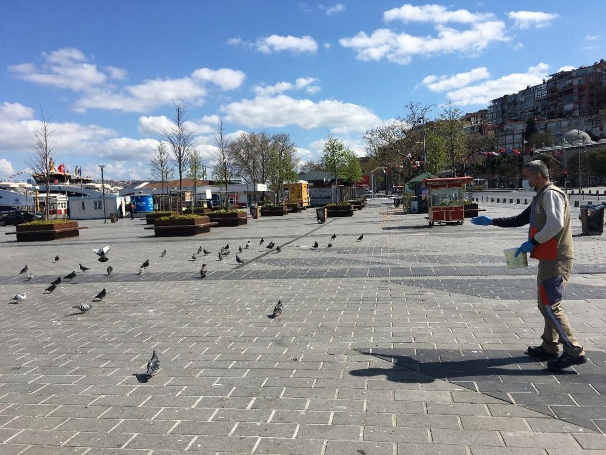 &Uuml;sk&uuml;dar Belediyesi ekipleri kuşları ve sokak hayvanlarını elleriyle besledi