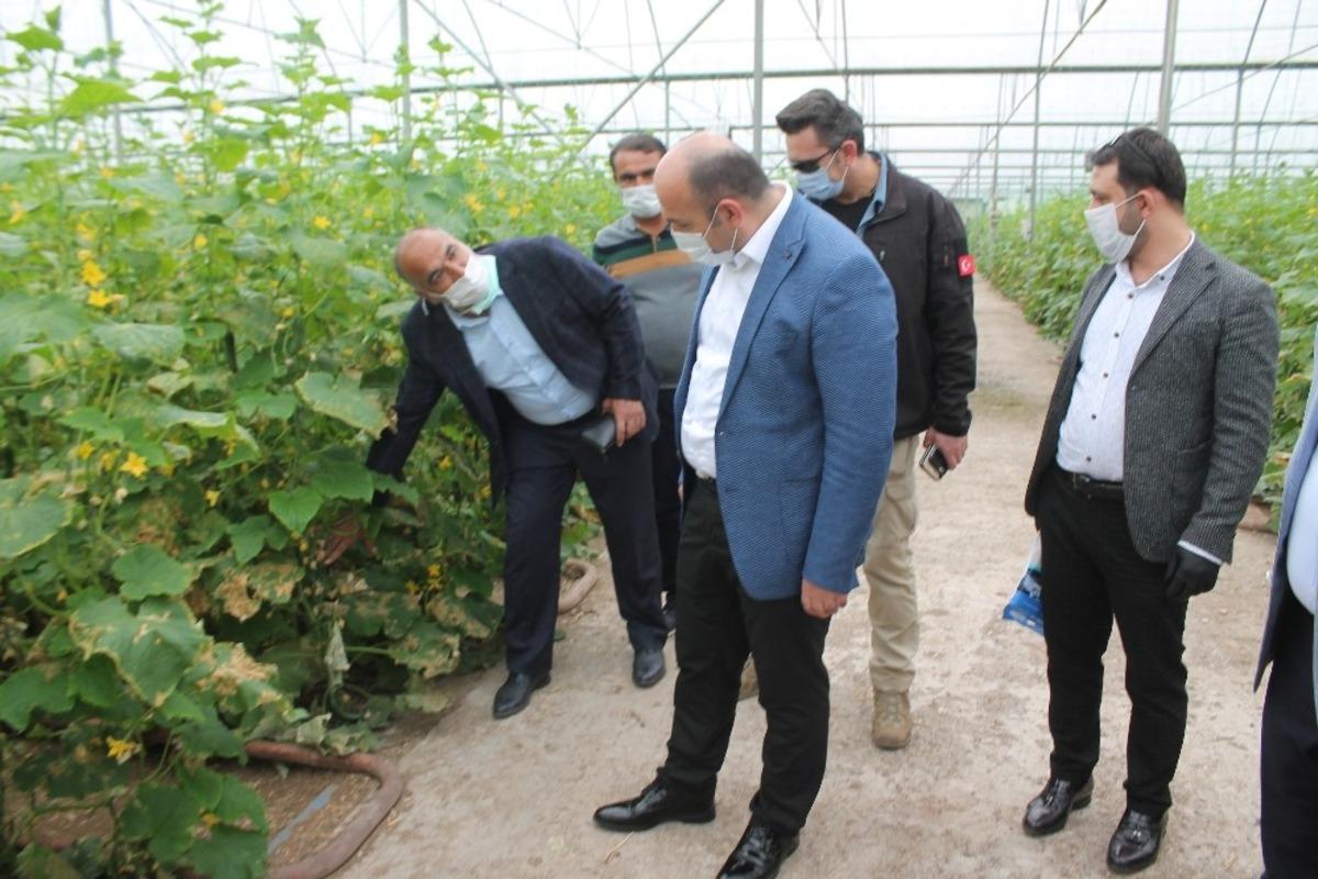 Diyarbakır&rsquo;da tarım ve hayvancılıkta &uuml;retim hız kesmeden s&uuml;r&uuml;yor
