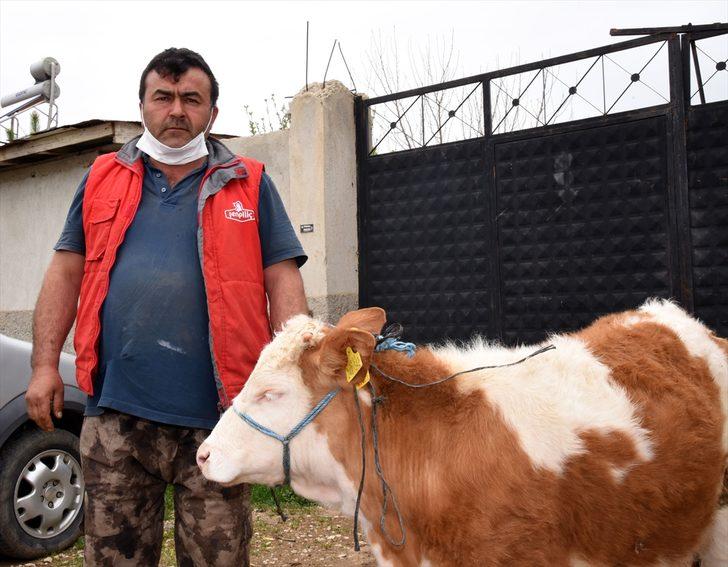 Milli Dayanışma Kampanyası'na geçim kaynakları hayvanlarıyla katıldılar G2