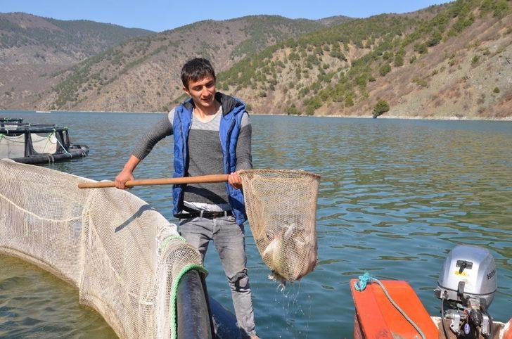 Karadere Barajında her geçen gün balık üretimi artıyor G1