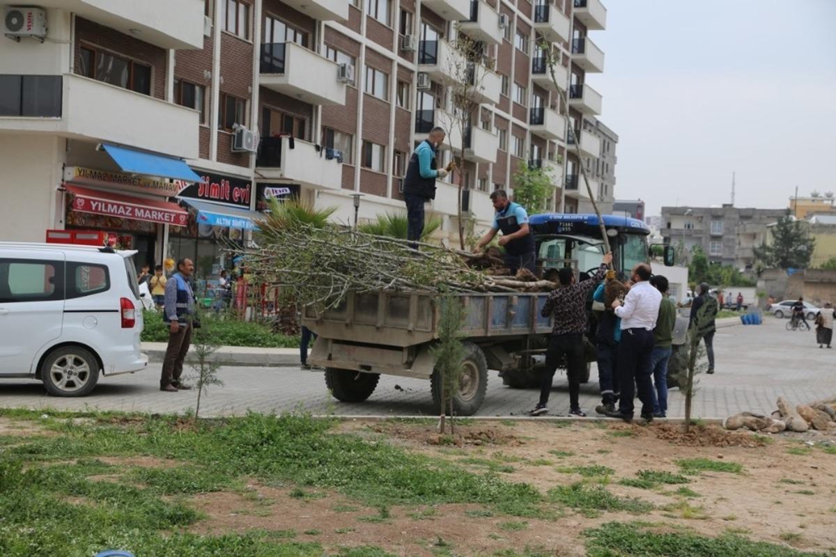 Cizre&rsquo;de yeşillendirme &ccedil;alışmaları devam ediyor