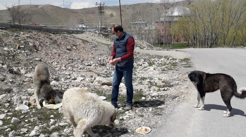 Kur&rsquo;an kursu &ouml;ğreticisinden sokak hayvanlarına destek