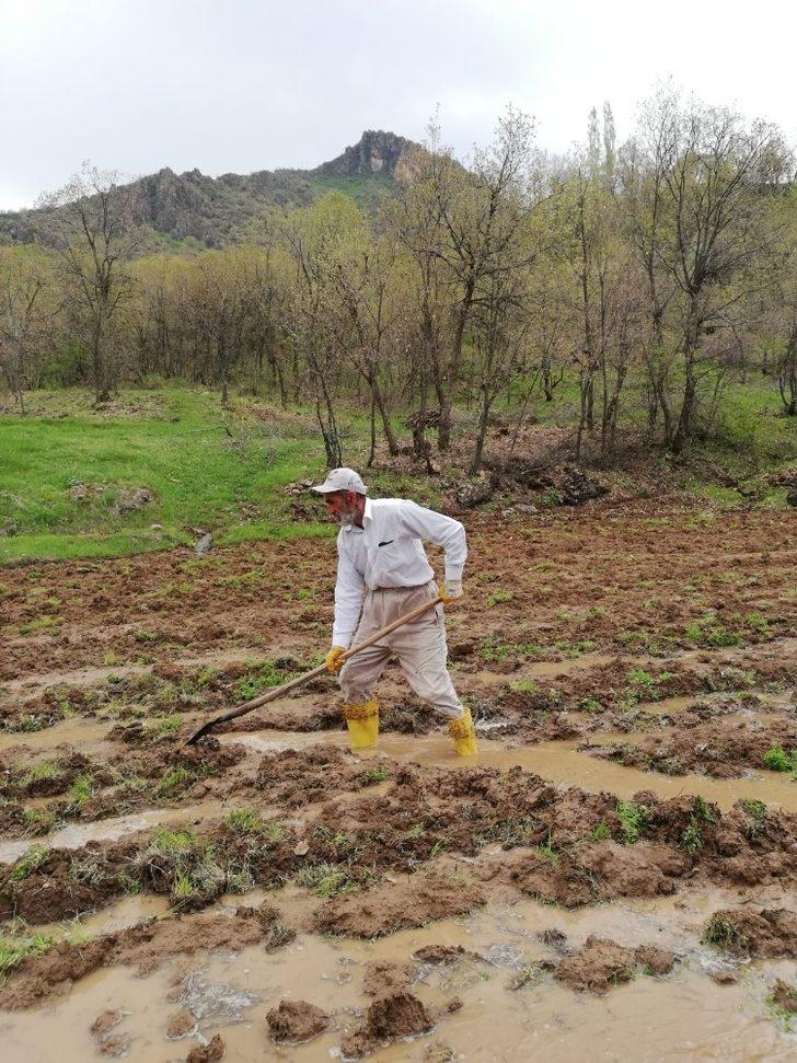Irak sınırında imece usulü çeltik ekimi G4