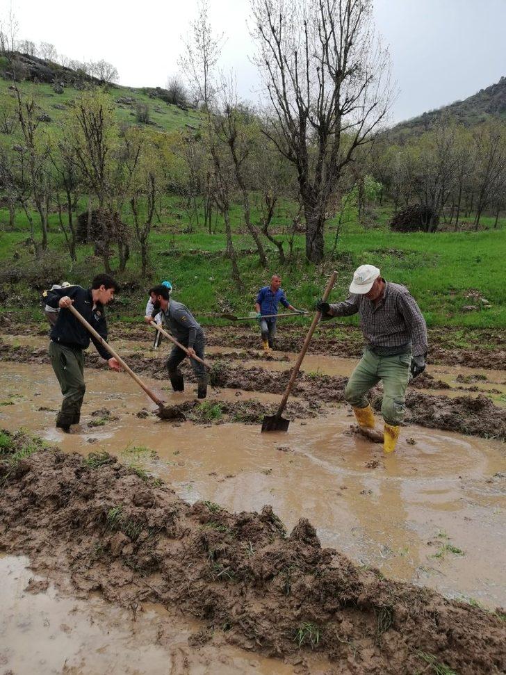 Irak sınırında imece usulü çeltik ekimi G5