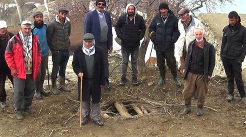 Hakkari'de ayı, 25 koyunu telef etti
