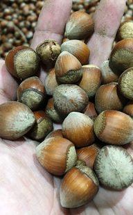 Cumhuriyet tarihinin rekoru kırıldı