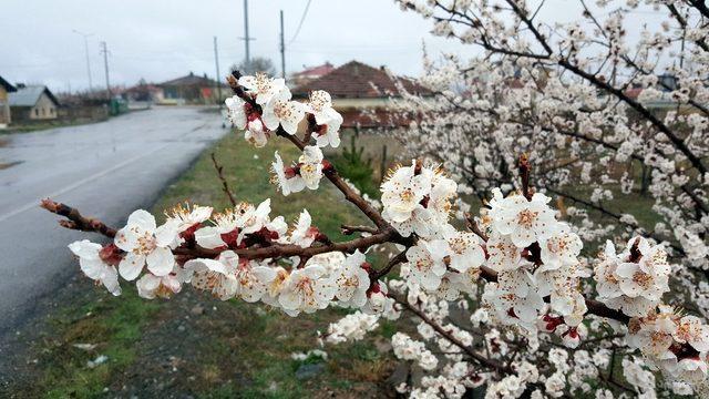 Doğu Anadolu’da hava sıcaklığı mevsim normallerinin altına düştü