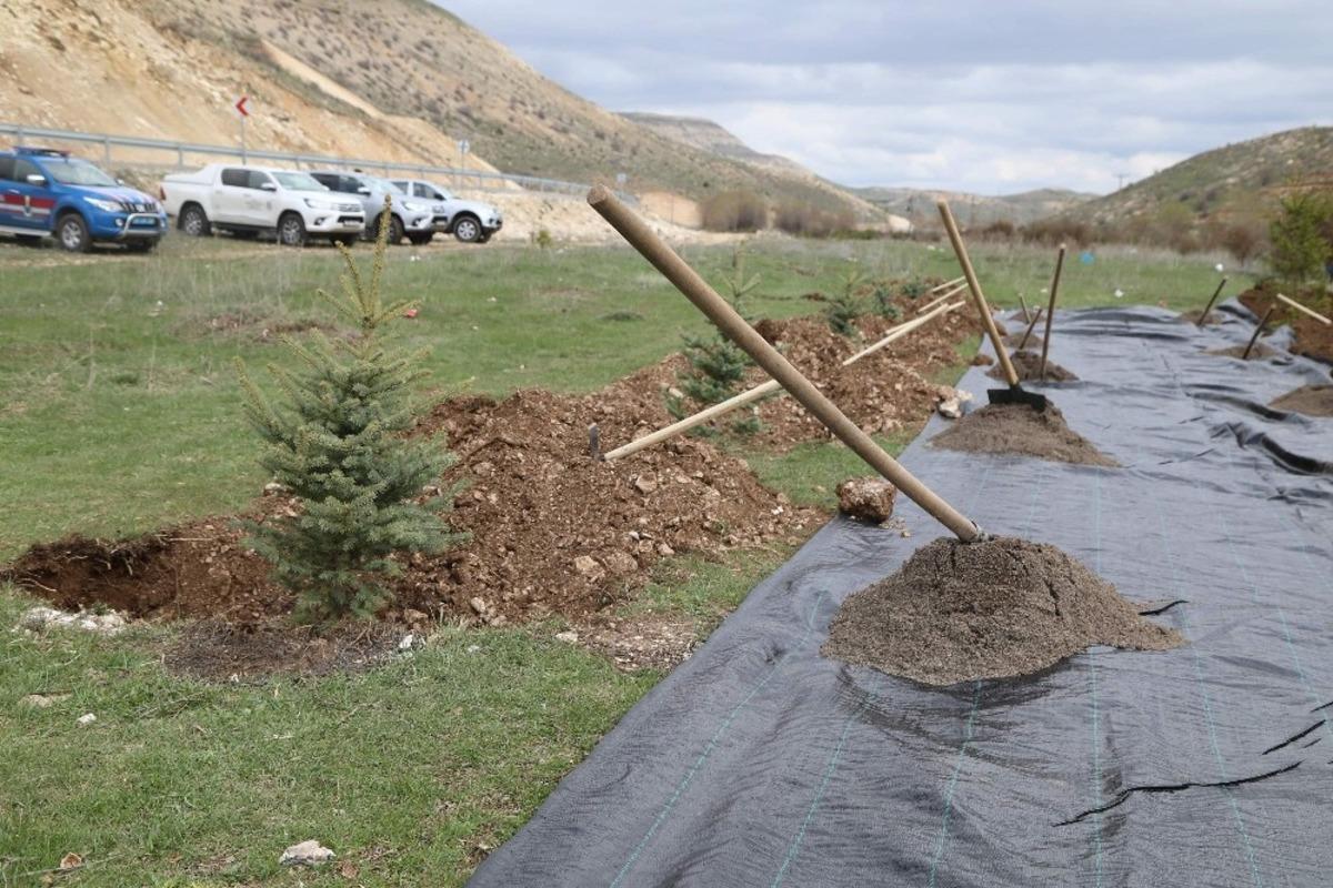 Doğan her bebek  i&ccedil;in bir fidan dikilecek