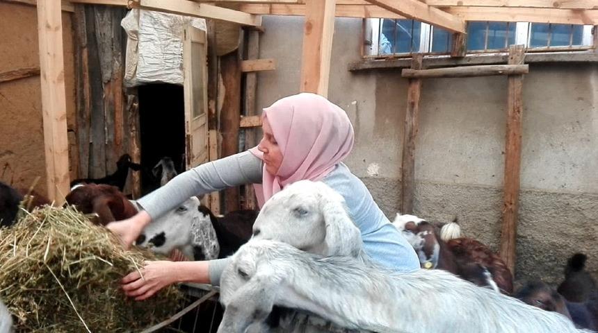 Borç para ile başladığı keçi üretimini bir yılda dörde katladı
