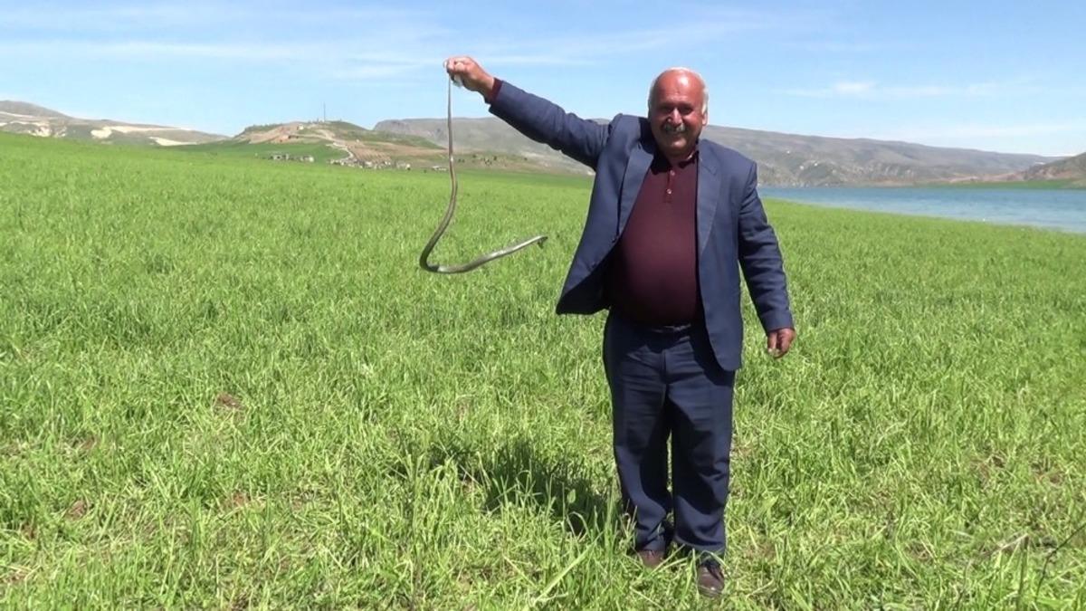 Eliyle yakaladığı yılanla fotoğraf &ccedil;ektirdi