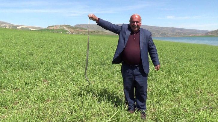 Eliyle yakaladığı yılanla fotoğraf çektirdi G2