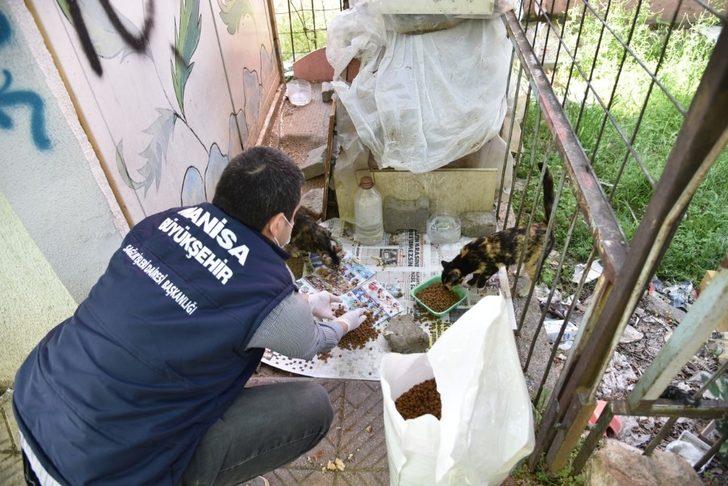 Sokak hayvanlarına mama desteği sürüyor G2