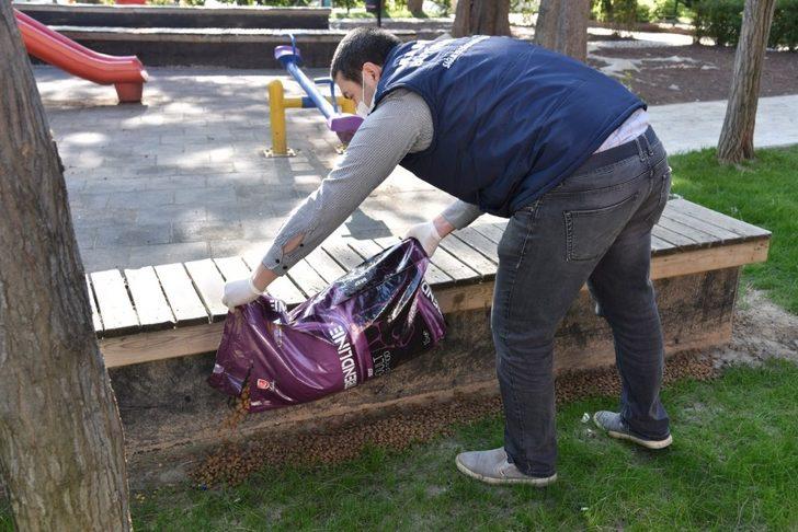 Sokak hayvanlarına mama desteği sürüyor G3