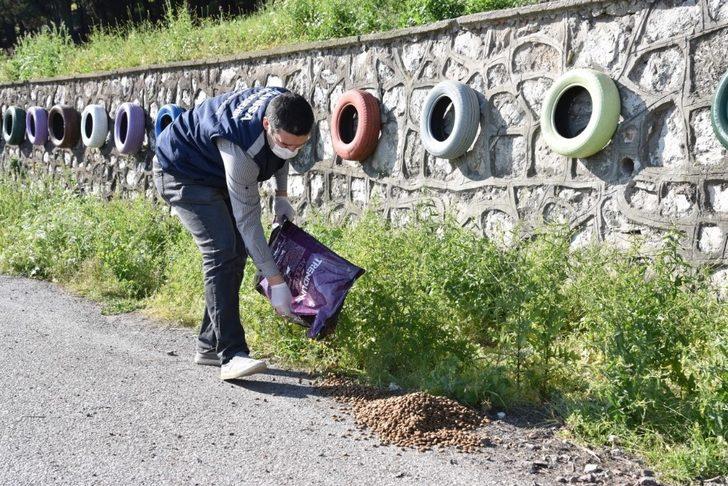 Sokak hayvanlarına mama desteği sürüyor G4