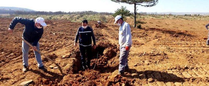 Kütahya Orman Bölge Müdürlüğü gelir getirici meyve dikimine başladı G4