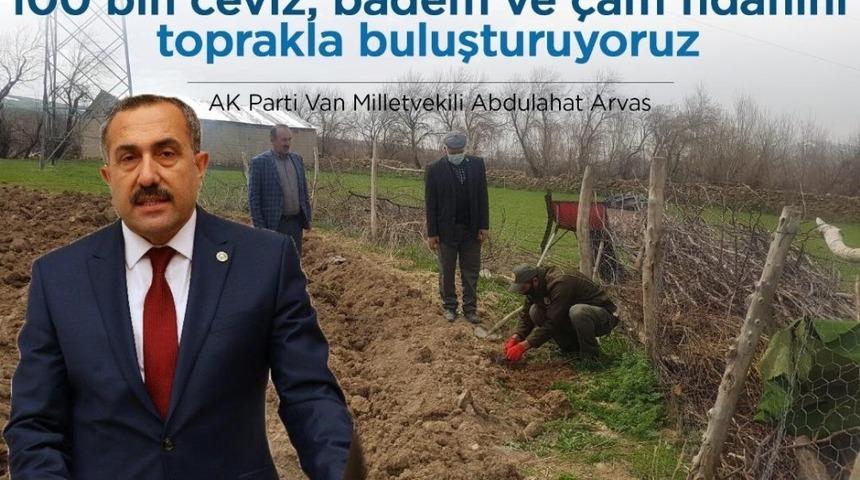 Van Milletvekili Arvas: &ldquo;Yaklaşık 100 bin fidanı toprakla buluşturuyoruz&rdquo;