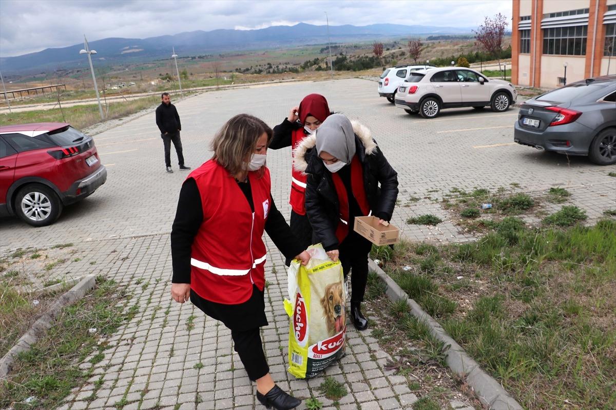 Kastamonu'da T&uuml;rk Kızılay Kadın Kolları g&ouml;n&uuml;ll&uuml;leri sokak hayvanlarını besledi