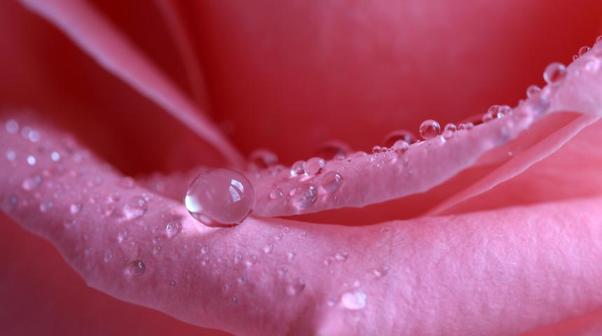 İşte gözaltı morluklarını ve sivilceleri yok eden o mucizevi ürün...