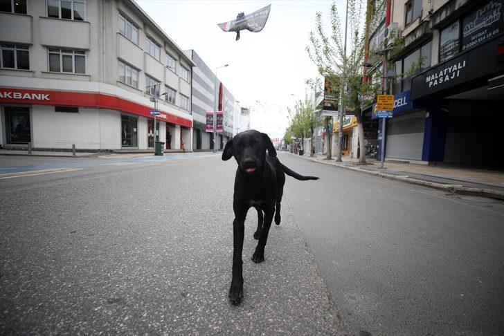 Batı Karadeniz'de "Evde kal" çağrısına büyük oranda uyuluyor G2
