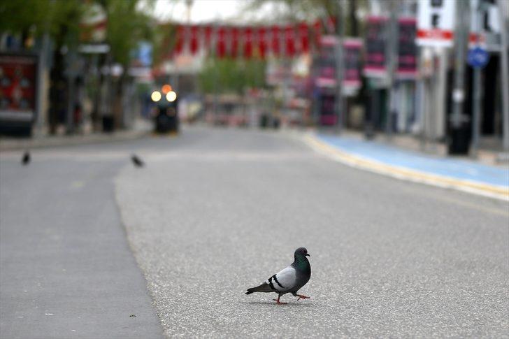 Batı Karadeniz'de "Evde kal" çağrısına büyük oranda uyuluyor G4