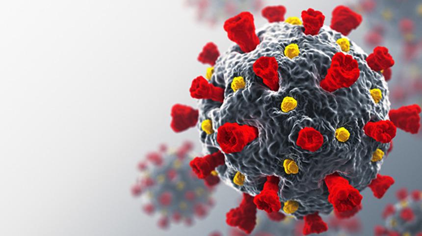 D&uuml;nya Sağlık &Ouml;rg&uuml;t&uuml;'nden koronavir&uuml;s a&ccedil;ıklaması: Hen&uuml;z bir kanıt yok