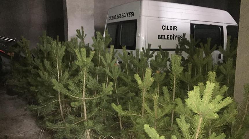 20 bin fidan Çıldır’a nefes olacak