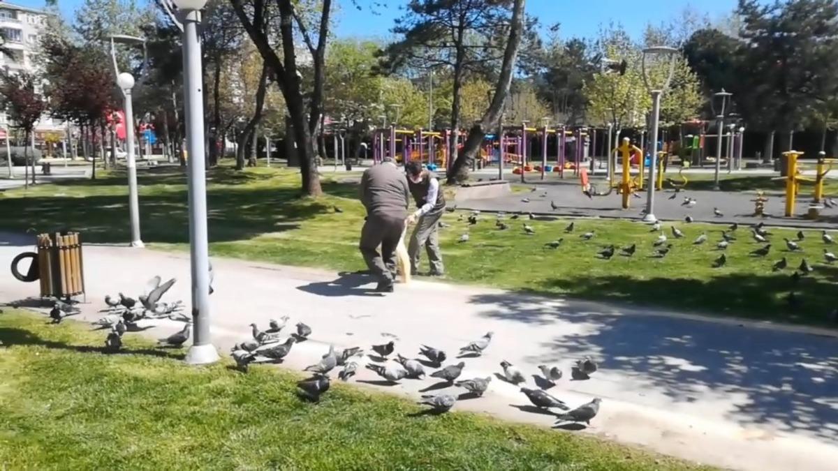 Sokağa &ccedil;ıkma kısıtlamasında sokak hayvanları ve kuşlar unutulmadı