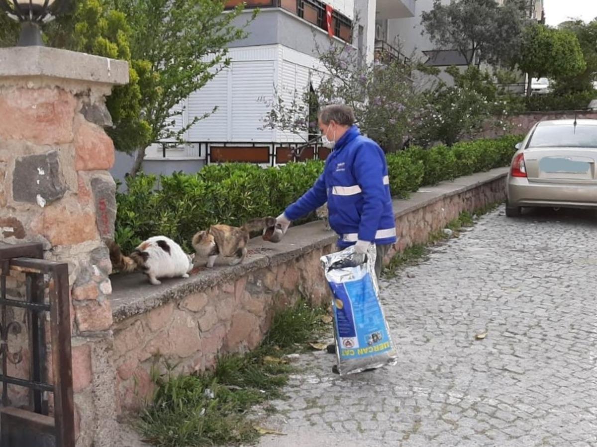 Cunda&rsquo;nın sembollerinden kediler ve sokak hayvanları unutulmadı