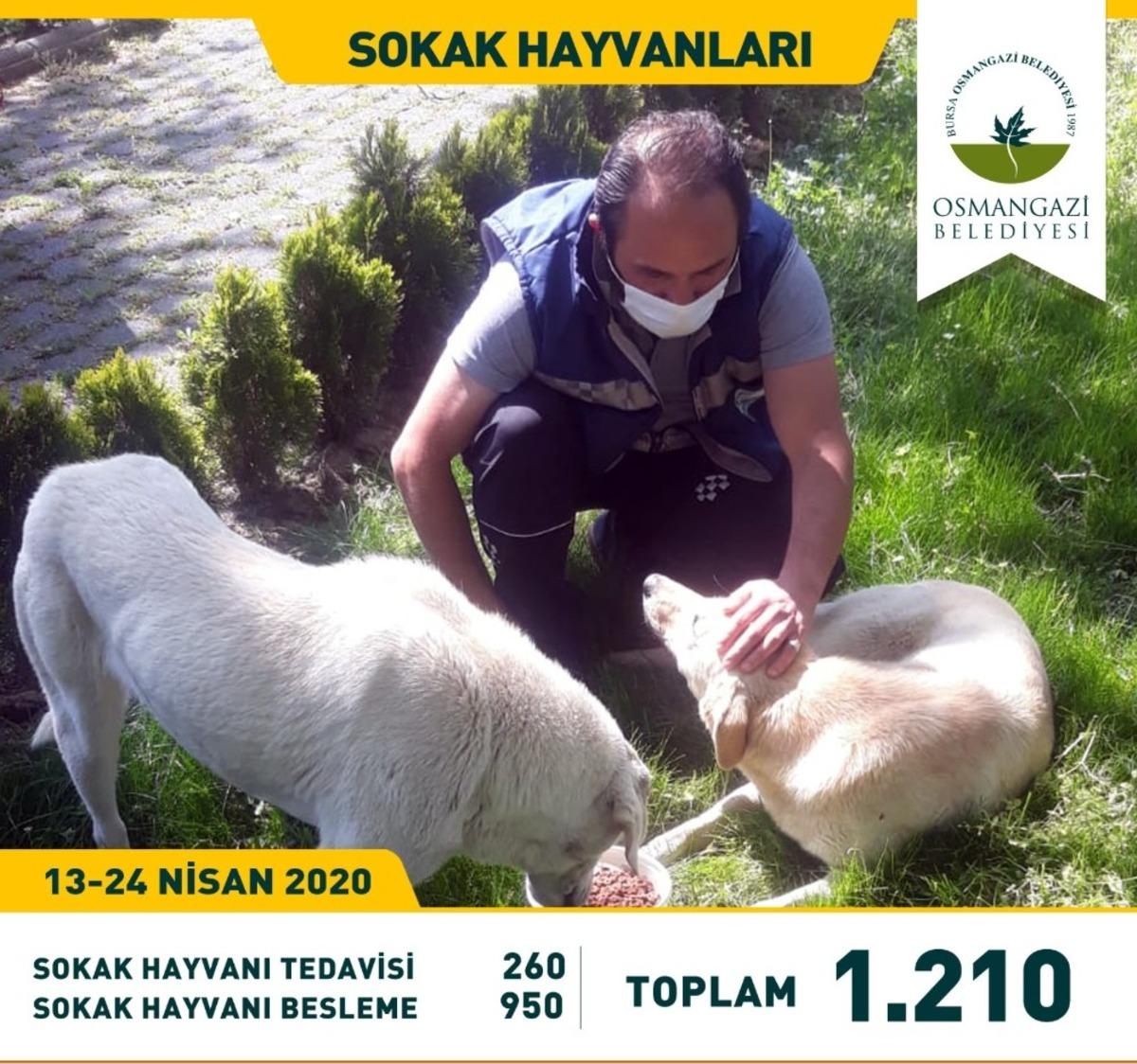 Can dostlara Osmangazi şefkati