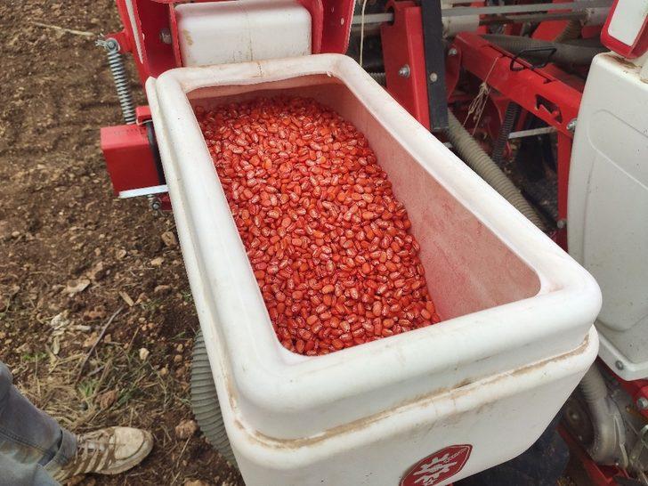 Mazıdağı’nda çiftçiler mısır tohumlarını toprakla buluşturdu G2