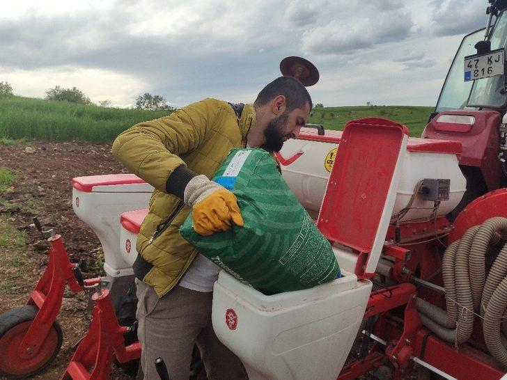 Mazıdağı’nda çiftçiler mısır tohumlarını toprakla buluşturdu G3