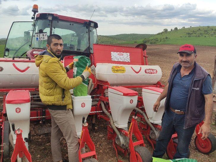 Mazıdağı’nda çiftçiler mısır tohumlarını toprakla buluşturdu G4